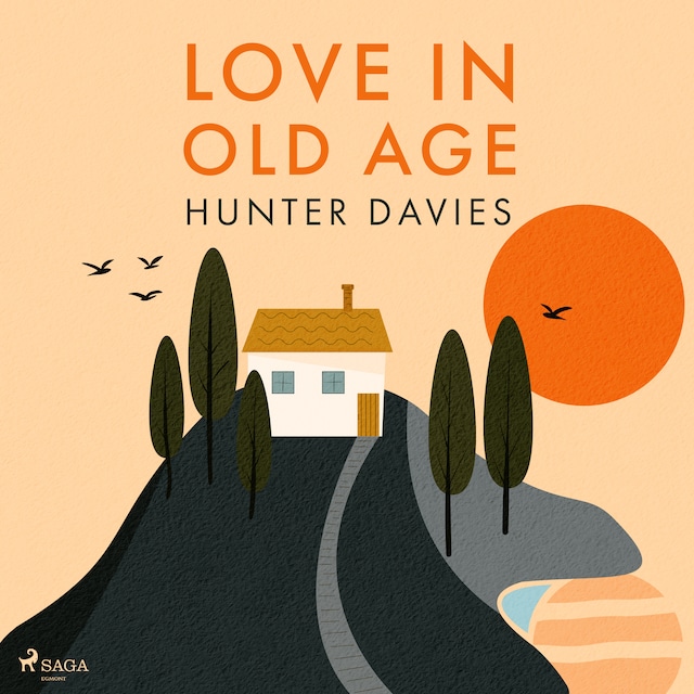 Book cover for Love In Old Age