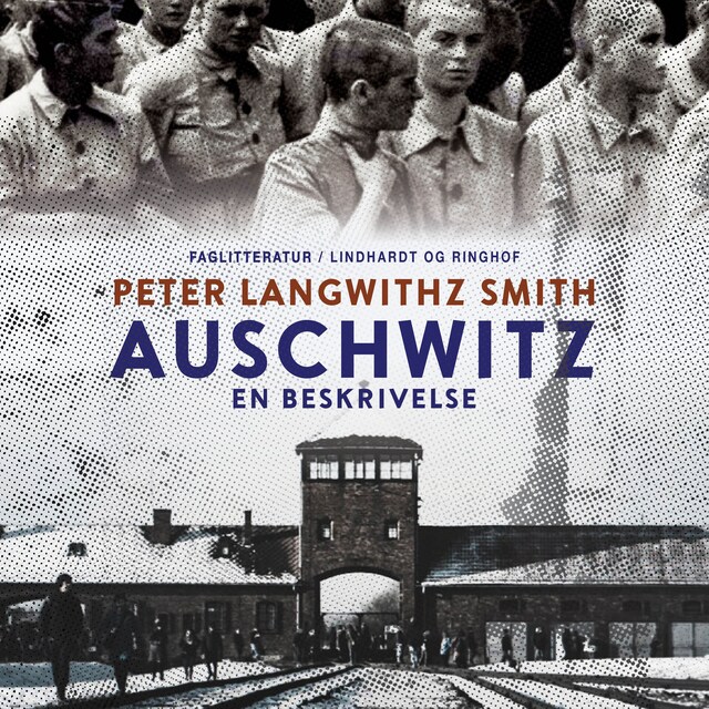 Buchcover für Auschwitz. En beskrivelse