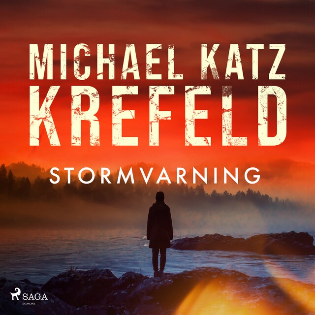 Book cover for Stormvarning