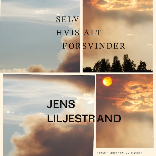 Mientras todo arde - Jens Liljestrand