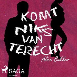 Komt niks van terecht - luisterboek