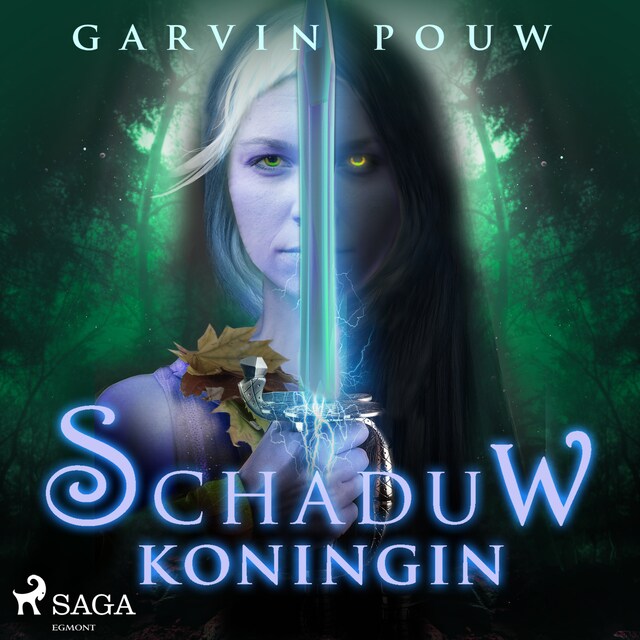 Book cover for Schaduwkoningin