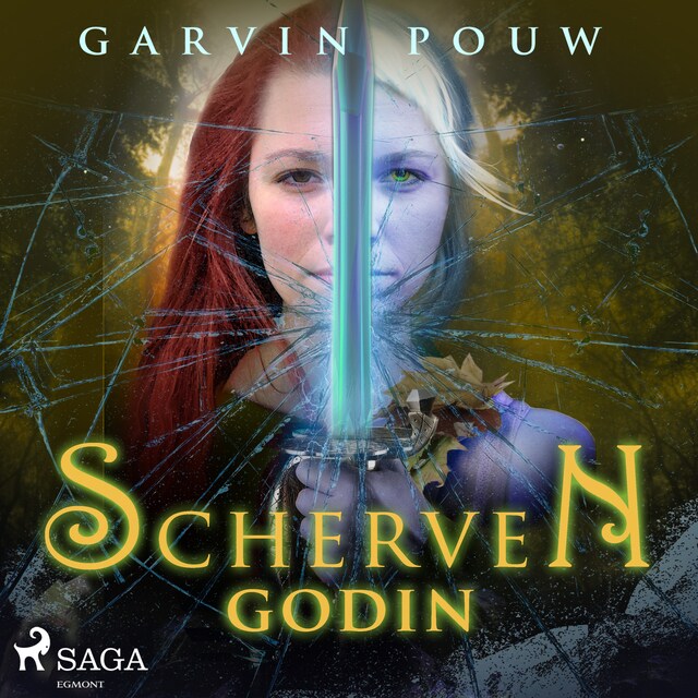 Couverture de livre pour Schervengodin