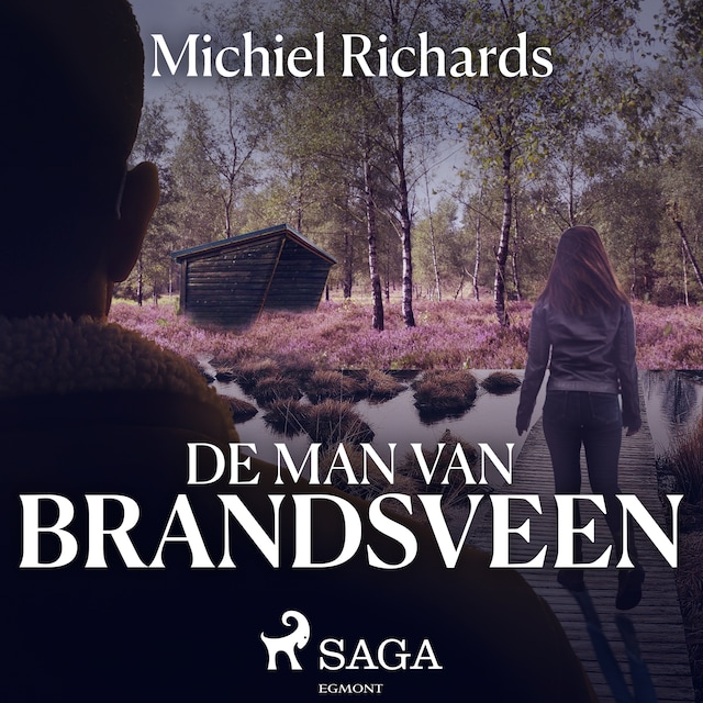 Book cover for De man van Brandsveen