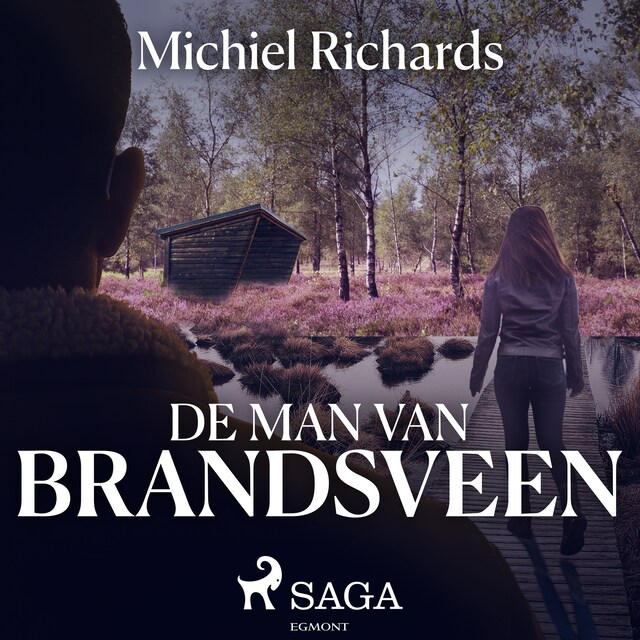 Book cover for De man van Brandsveen