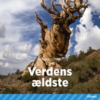 Verdens ældste
