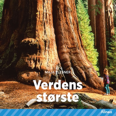 Verdens største