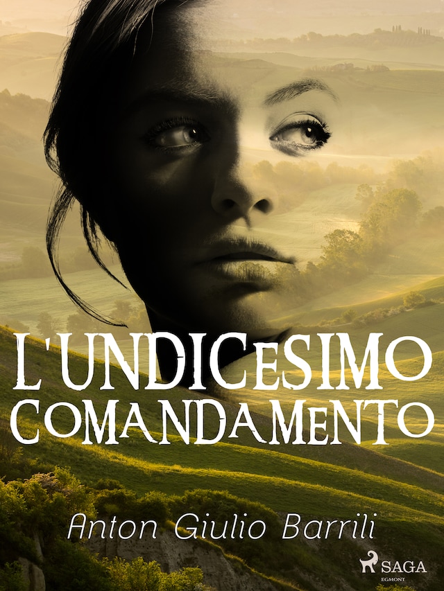 Couverture de livre pour L'undicesimo comandamento