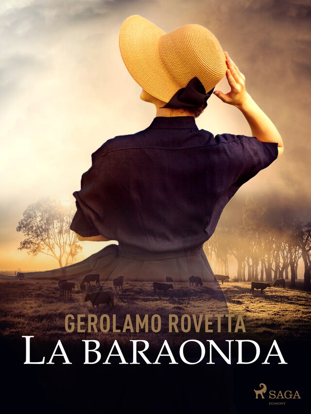 Copertina del libro per La baraonda