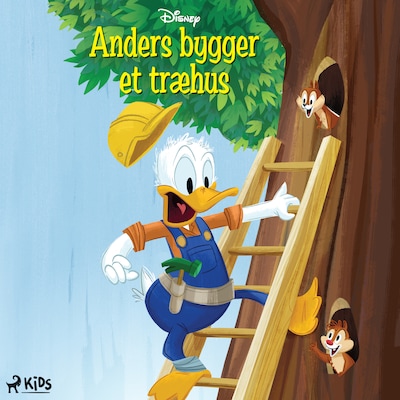 Anders bygger et træhus