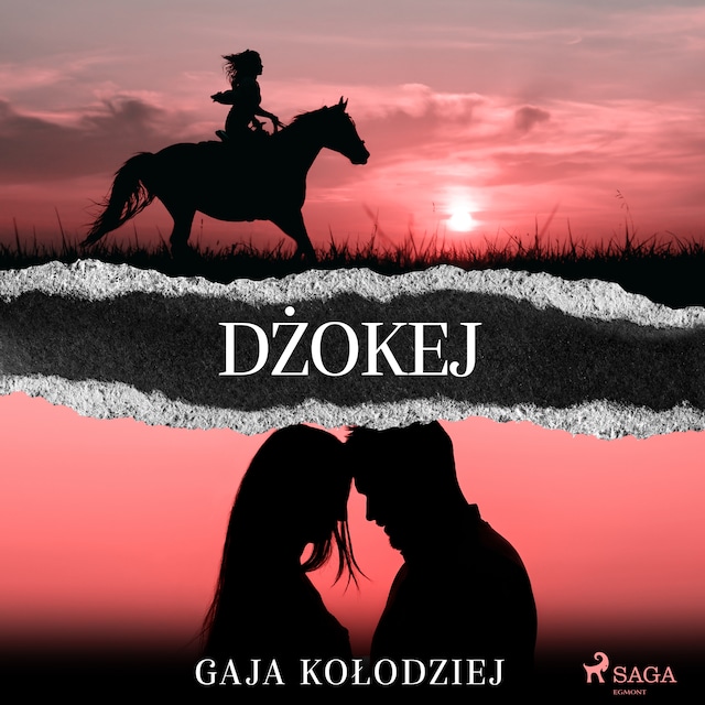 Book cover for Dżokej