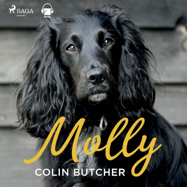 Portada de libro para Molly