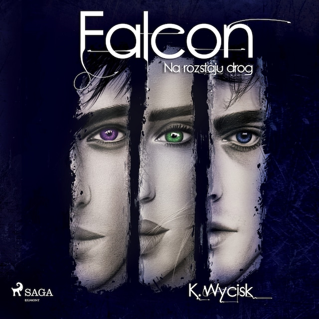Book cover for Falcon II Na rozstaju dróg