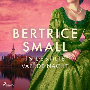 In de stilte van de nacht - luisterboek