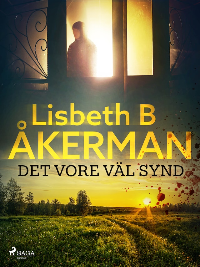 Book cover for Det vore väl synd ...