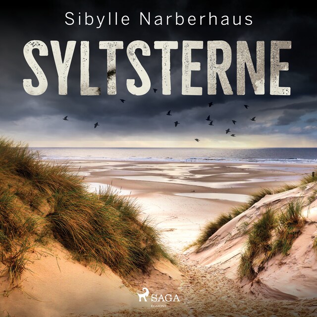 Book cover for Syltsterne