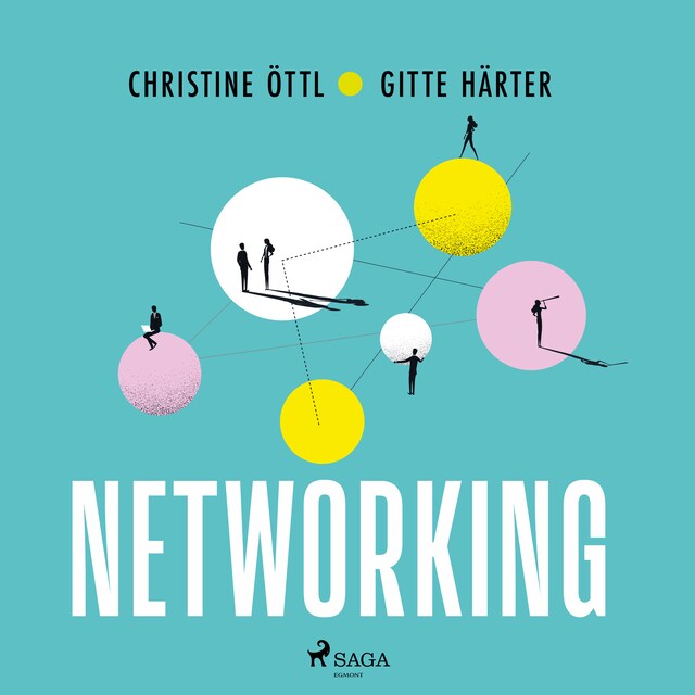 Book cover for Networking