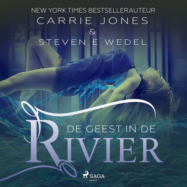 Book cover for De geest in de rivier