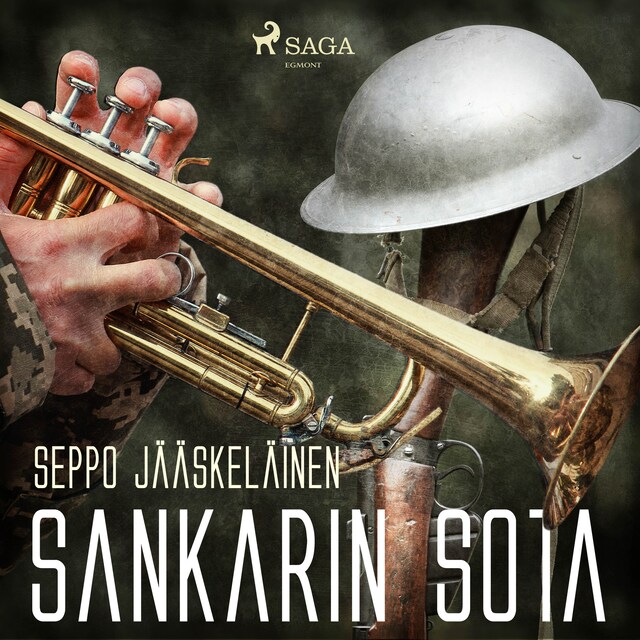 Book cover for Sankarin sota