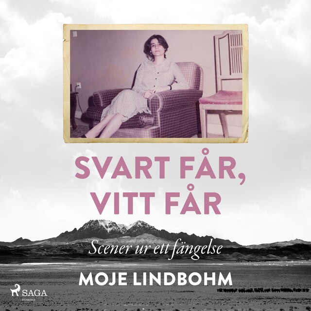 Couverture de livre pour Svart får, vitt får : Scener ur ett fängelse