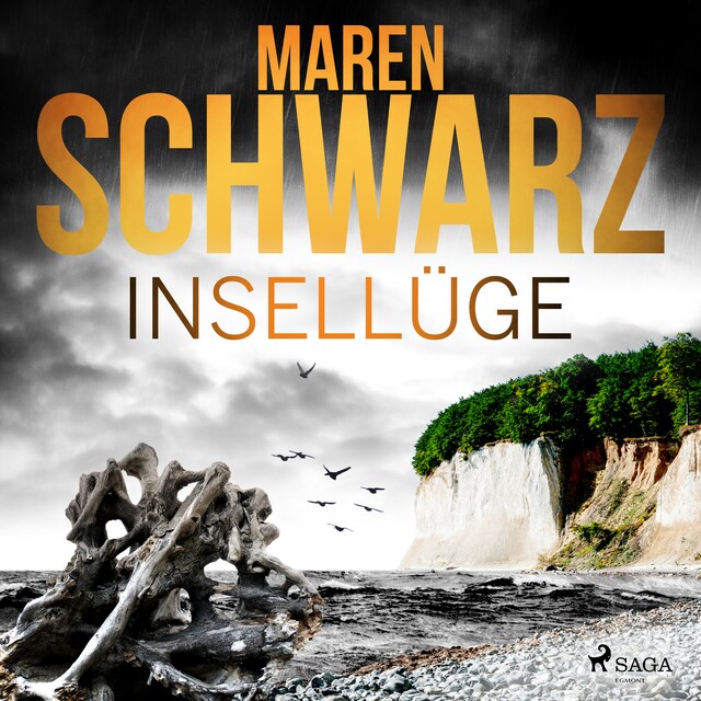 Book cover for Insellüge