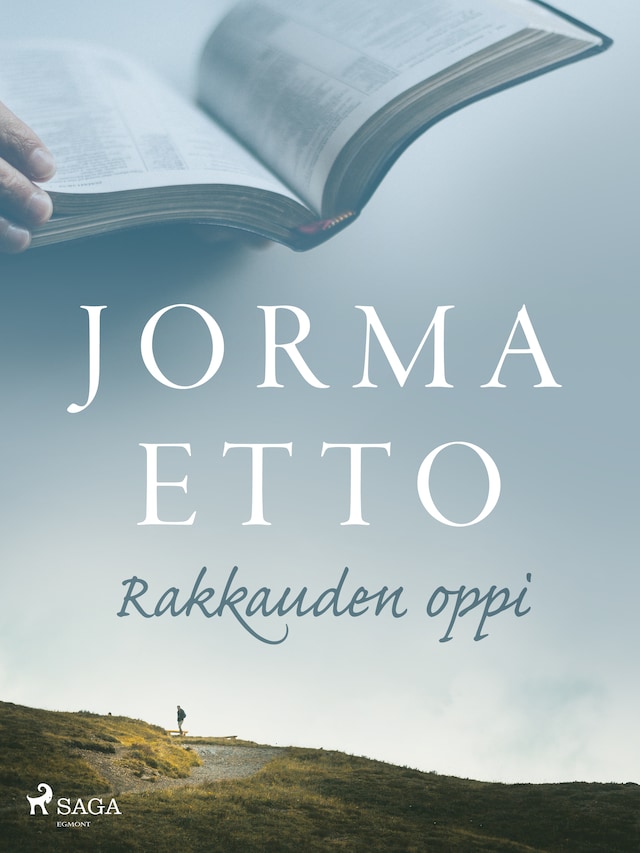 Book cover for Rakkauden oppi