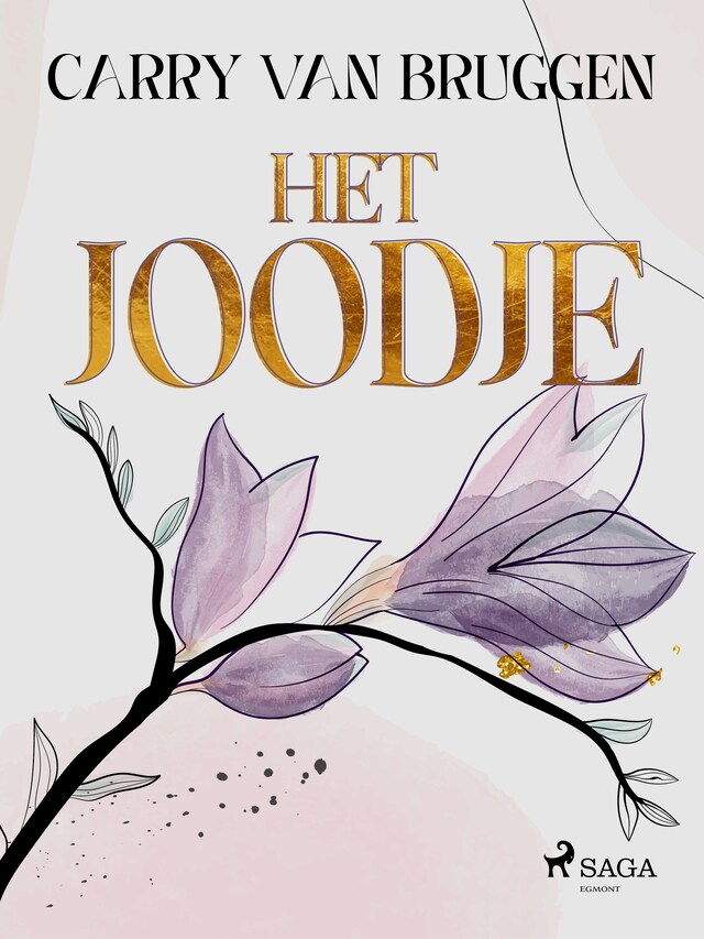 Boekomslag van Het Joodje