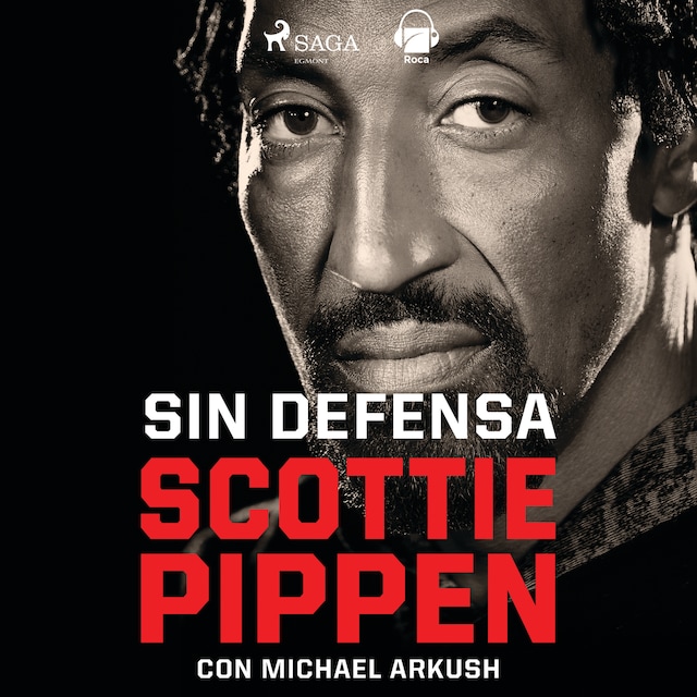 Book cover for Sin defensa