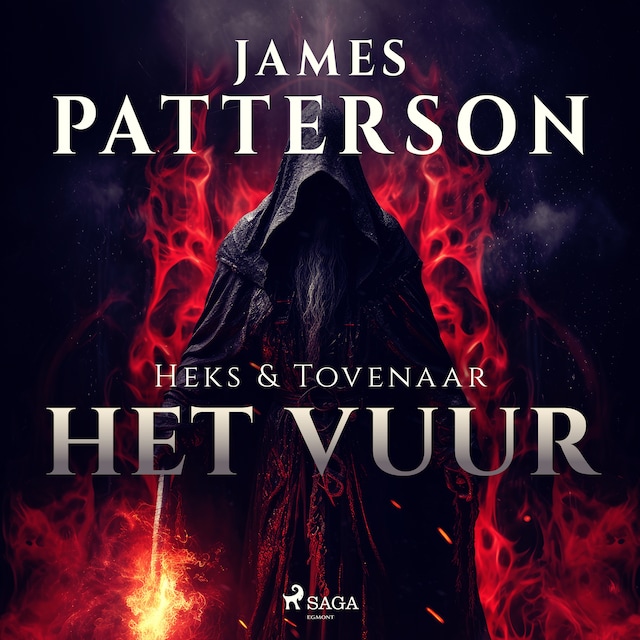 Book cover for Het vuur