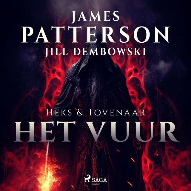 Book cover for Het vuur