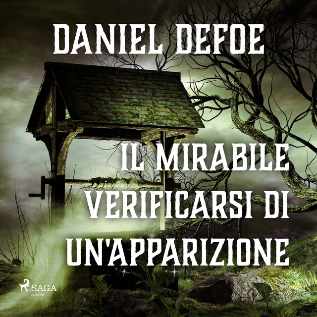 Book cover for Il mirabile verificarsi di un'apparizione