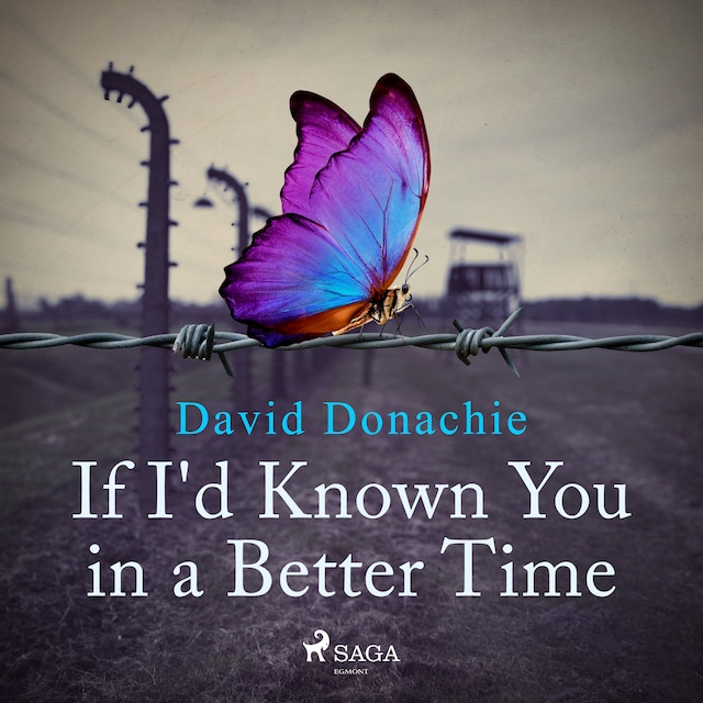 Book cover for If I'd Known You in a Better Time