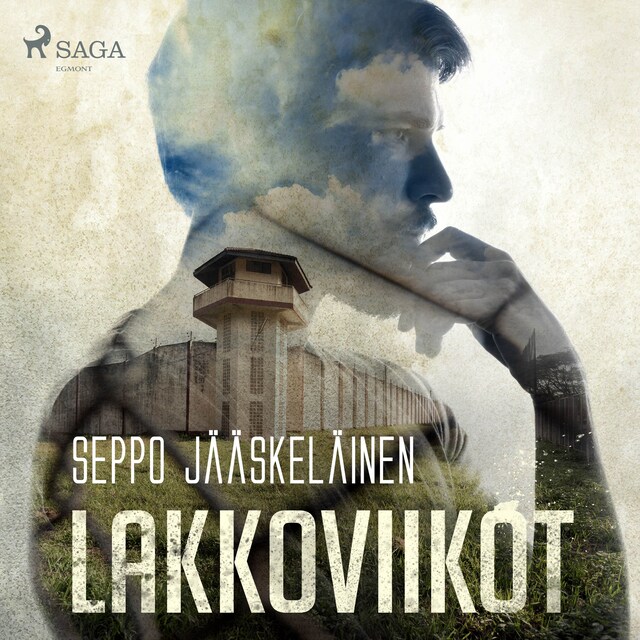 Book cover for Lakkoviikot