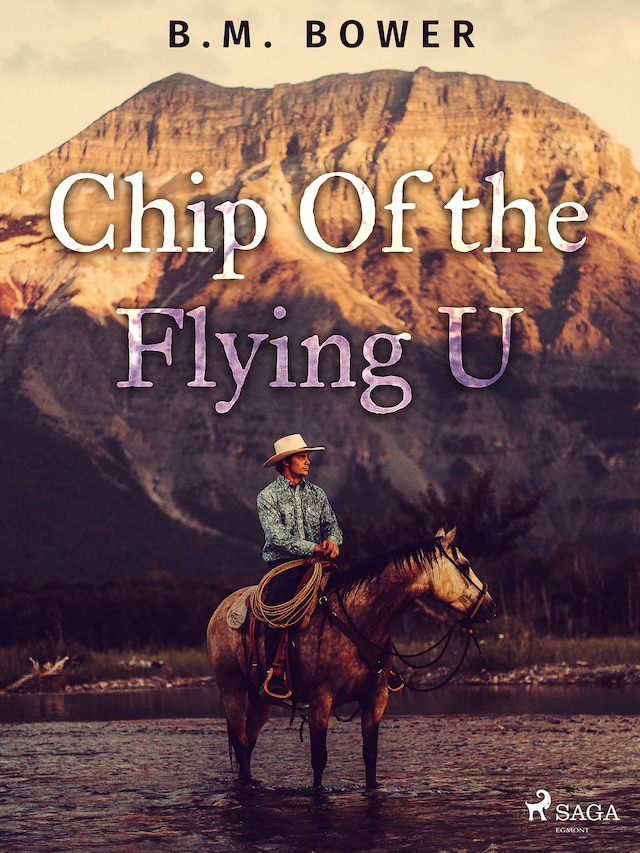 Book cover for Chip Of the Flying U