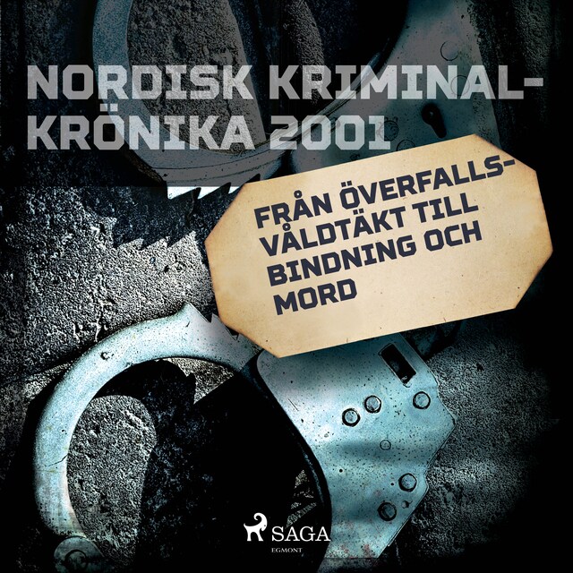 Book cover for Från överfallsvåldtäkt till bindning och mord