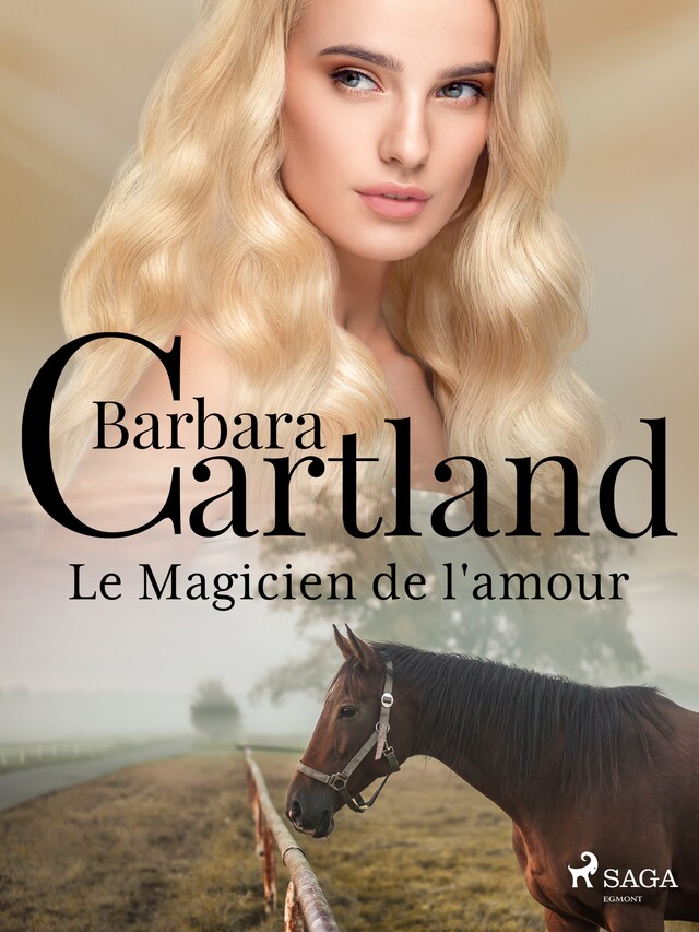 Book cover for Le Magicien de l'amour