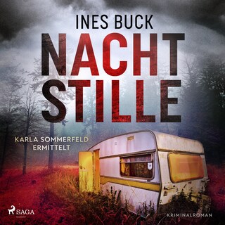 Nachtstille als Hörbuch