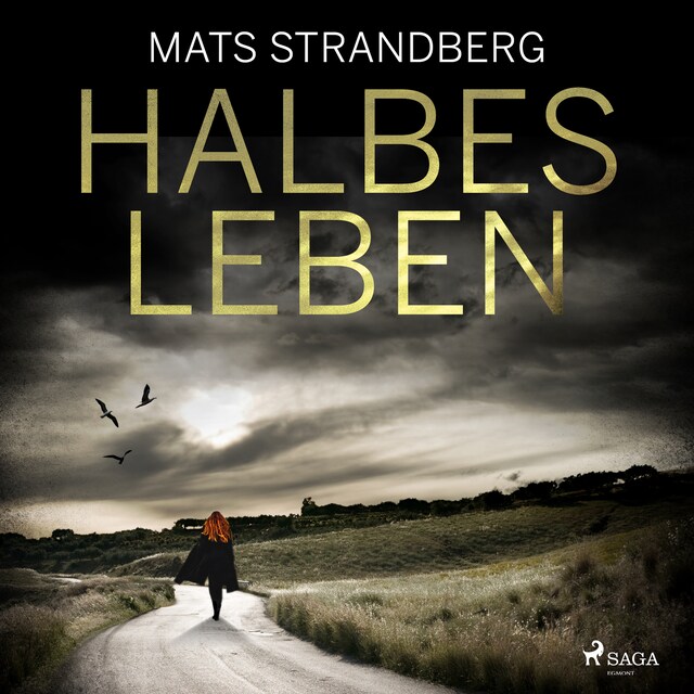 Book cover for Halbes Leben