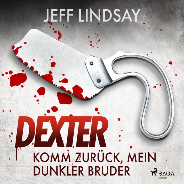 Book cover for Komm zurück, mein dunkler Bruder