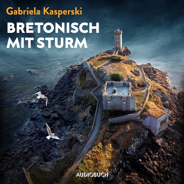Book cover for Bretonisch mit Sturm