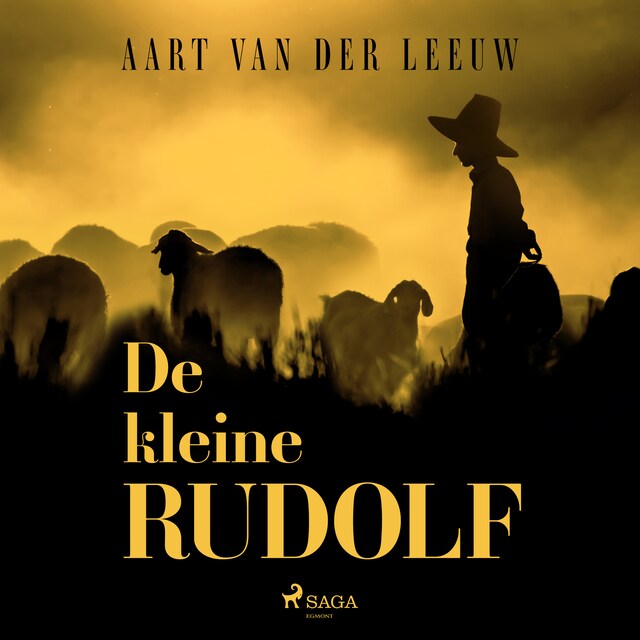 Book cover for De kleine Rudolf