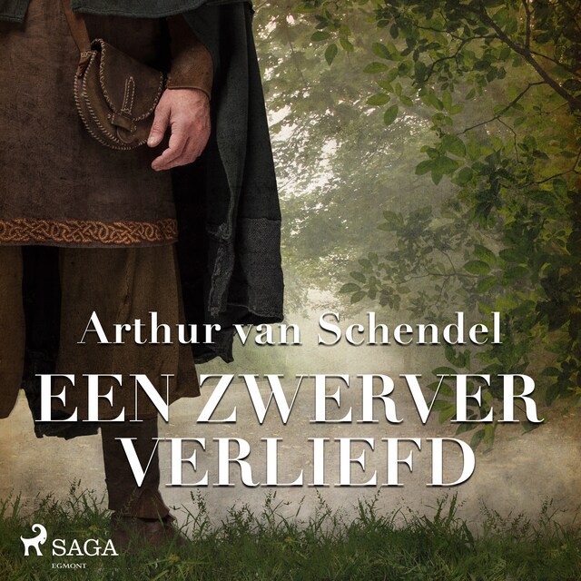 Book cover for Een zwerver verliefd