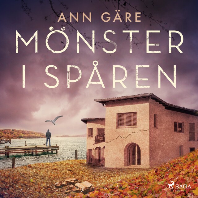 Book cover for Mönster i spåren