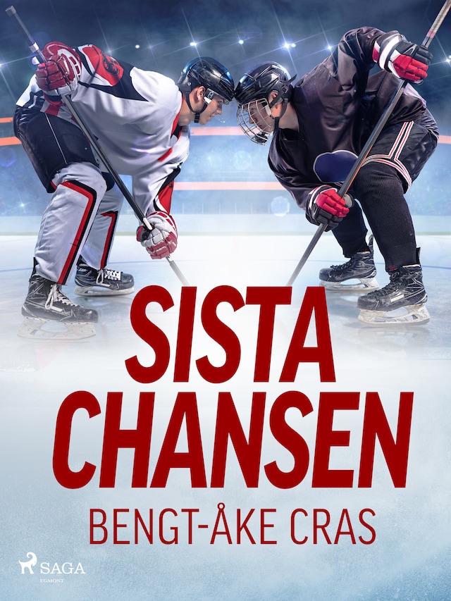 Book cover for Sista chansen