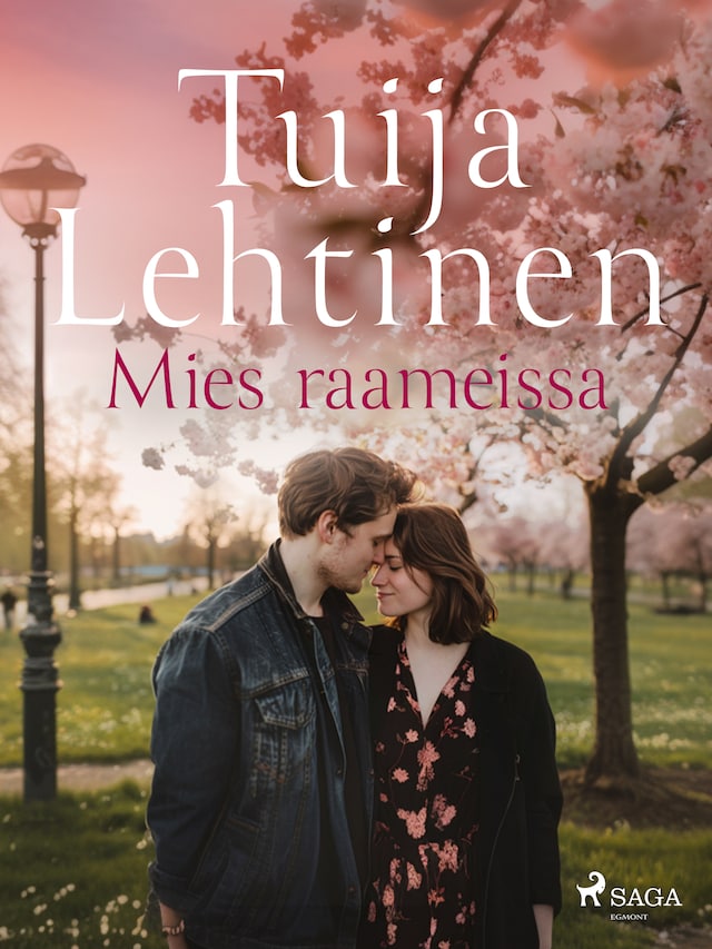 Book cover for Mies raameissa