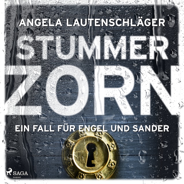 Book cover for Stummer Zorn (Ein Fall für Engel und Sander, Band 7)