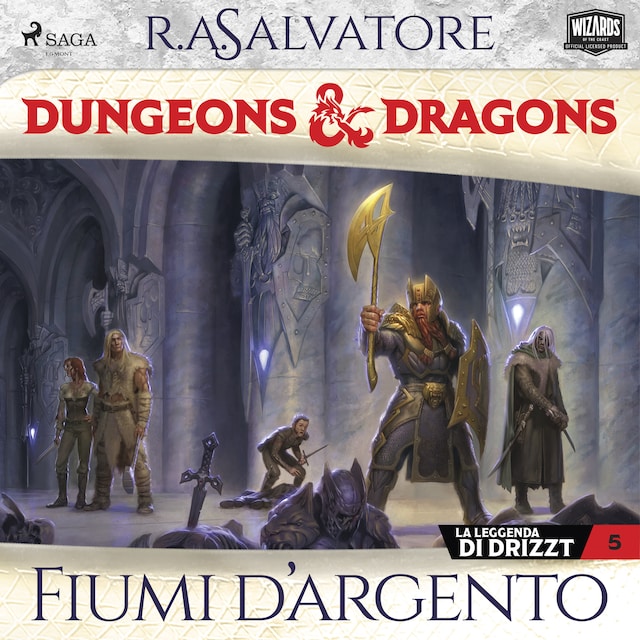Okładka książki dla Dungeons & Dragons: Fiumi d’argento