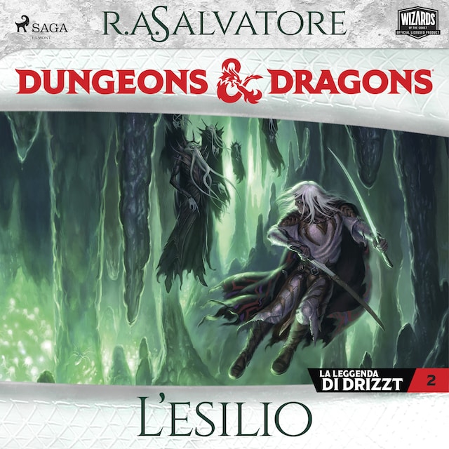 Book cover for Dungeons & Dragons: L’esilio
