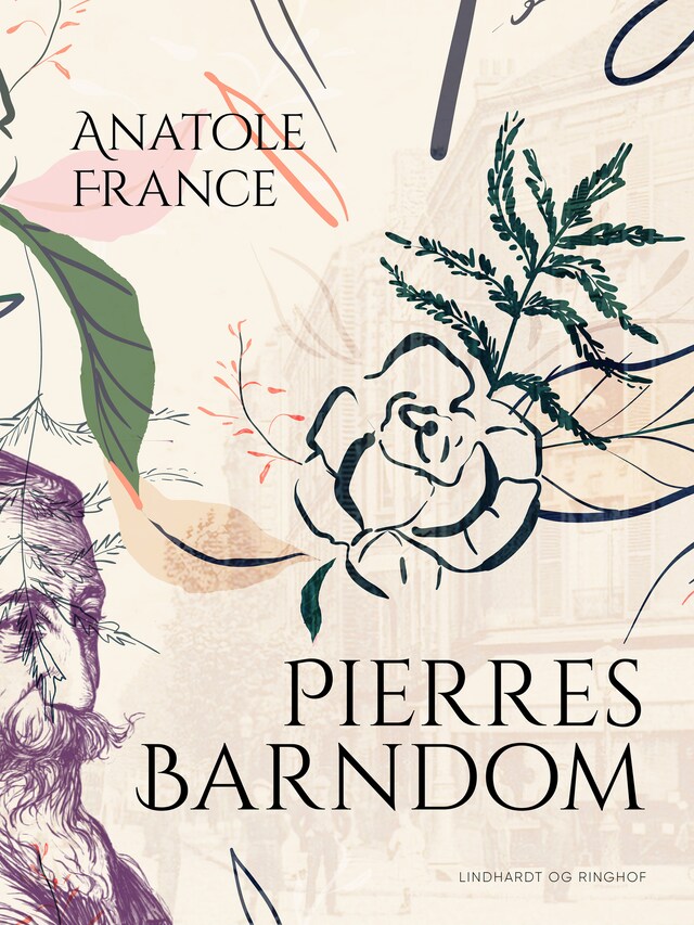 Book cover for Pierres Barndom
