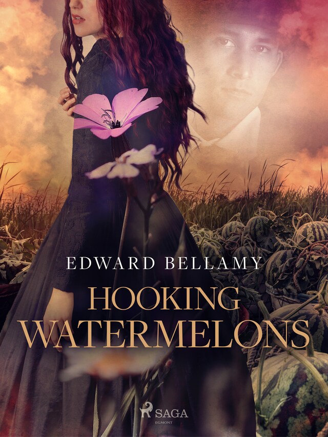 Book cover for Hooking Watermelons